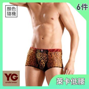 【YG 天鵝內衣】豹紋萊卡彈性低腰平口褲6件組(顏色隨機 M-XL)