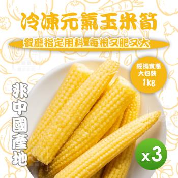 【知名餐廳指定款】冷凍元氣玉米筍(1000g)*3包