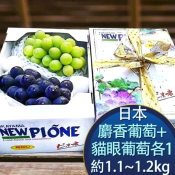 【RealShop 真食材本舖】日本麝香+貓眼葡萄各1禮盒 約1.2-1.3公斤(高檔水果 送禮精品)