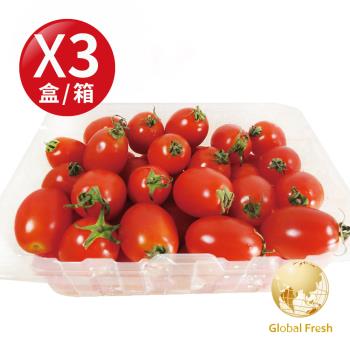 盛花園蔬果 嘉義聖女番茄600g x3盒(高CP值_四季水果)
