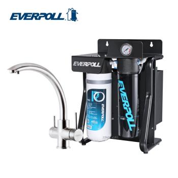 【EVERPOLL】直出式極淨純水設備 RO-900H3 (搭配不鏽鋼三用龍頭)
