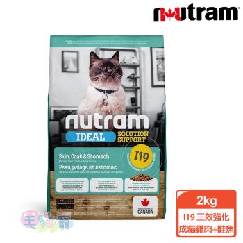 紐頓Nutram 專業理想系列I19 三效強化成貓雞肉+鮭魚 2kg