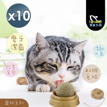 (小魚嚴選)寵物系列貓星人的忘情薄荷球 10入