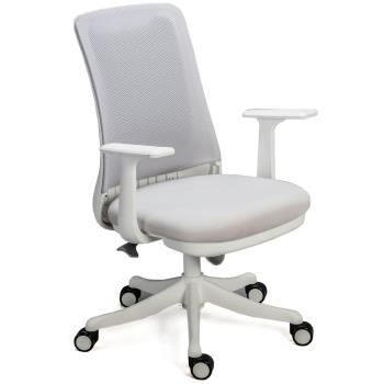 【Aaronation 愛倫國度】愛倫國度 - 中型款電腦椅辦公椅(T1-295-58S)