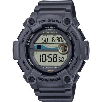 CASIO 卡西歐 10年電力 水上運動計時手錶-灰 (WS-1300H-8AV)