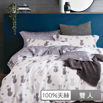 【貝兒居家生活館】100%天絲七件式兩用被床罩組  (雙人/仰星星)