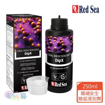 RED SEA 紅海 珊瑚安全檢疫浸泡劑 250ml