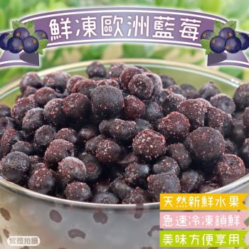 果物樂園-冷凍歐洲藍莓2包(約200g/包)