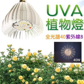 君沛植物燈 UV植物燈 40瓦 紫外線全光譜 植物燈泡  UV燈泡 E27 紫外線燈泡 台灣製造 保固一年