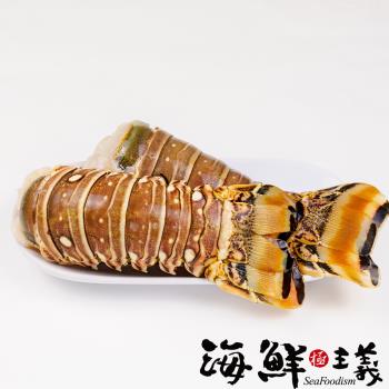 【海鮮主義】優質龍蝦尾8包(225g±20%/包;約2入/包)-(蝦蟹季)