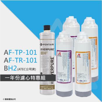 ATEC第一道初過濾濾芯AF-TP-101二入+第二道樹脂濾心AF-TR-101二入+BH2活性碳濾心(ATEC公司貨)