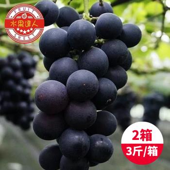 【水果達人】台灣一級巨峰葡萄x2箱(3斤±10%/箱)