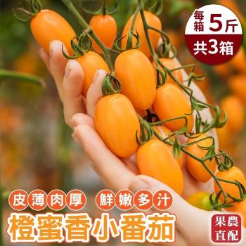 果農直配-台灣橙蜜香小番茄(約5斤/箱)x3箱