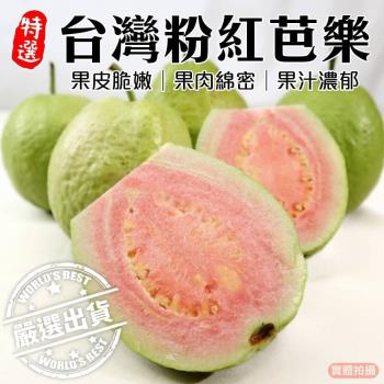 果農直送-粉紅蜜芭樂1箱(5斤/箱)