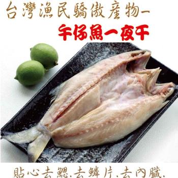 【海之醇】台灣物產午仔魚一夜干-6隻組(300g/隻)