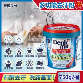 德國DM OXI活氧酵素去汙漂白護色 衣物漂白粉 750gx2藍桶
