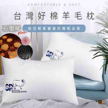 JENNY SILK MIT石墨稀羊毛枕 能量枕 抗菌恆溫枕 純天然羊毛 台灣製-2入優惠價