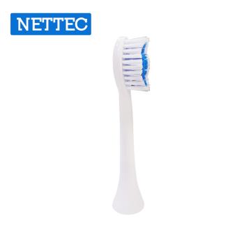 【NETTEC】恐龍造型兒童電動牙刷專用長柄刷頭(6入)