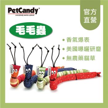 Pet Candy 貓草玩具-毛毛蟲/入