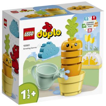 LEGO樂高積木 10981 202303 得寶系列 - 紅蘿蔔種植趣