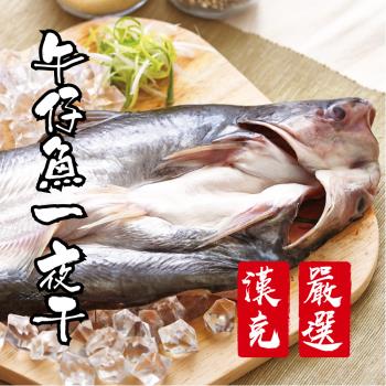 【漢克嚴選】2尾-屏東午仔魚一夜干(200g/尾)