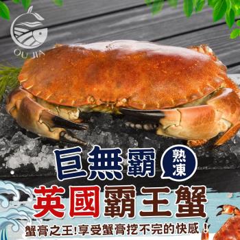 【歐嘉嚴選】巨無霸熟凍英國霸王蟹2隻組 660G/隻/麵包蟹/玫瑰蟹