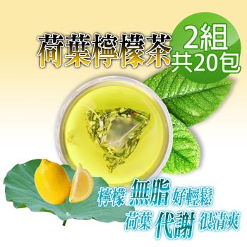 【蔘大王】台灣荷葉檸檬茶包X2組（6gX10入/組）解油雙寶 回甘很到位 代謝輕鬆 無咖啡因無茶鹼