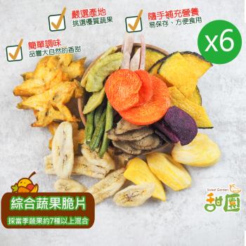 甜園 綜合蔬果脆片 100gx6包 蔬果脆片 青菜脆片 脆片 蔬菜脆片 蔬菜餅乾 脫水蔬菜 素食