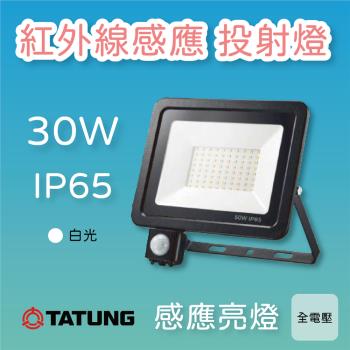 【大同】LED 節能戶外 紅外線感應投射燈 30瓦 白光 IP65(1入)