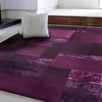 【山德力】ESPRIT地毯170x240cm紫淵