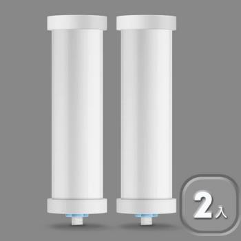 超值二入組【Future Lab. 未來實驗室】AbsolutePure A1 直飲濾水器專用濾芯