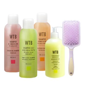 WTB昂賽芙洗髮精1000ml(4選1)+果酸潤髮乳500ml+氣墊按摩梳(顏色隨機)