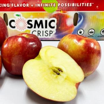 【RealShop 真食材本舖】美國華盛頓宇宙脆蘋果 約18kg±10%/56-64顆裝/原箱裝(品種 Cosmic Crisp 香脆多汁)
