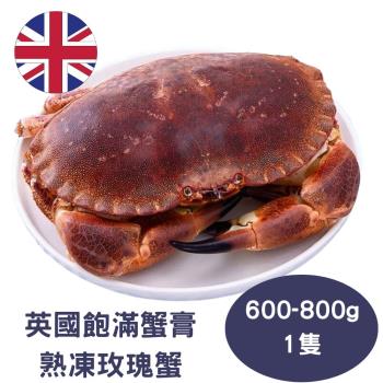【RealShop 真食材本舖】來自英國 超飽滿蟹膏熟凍玫瑰蟹/麵包蟹(600-800g/隻)