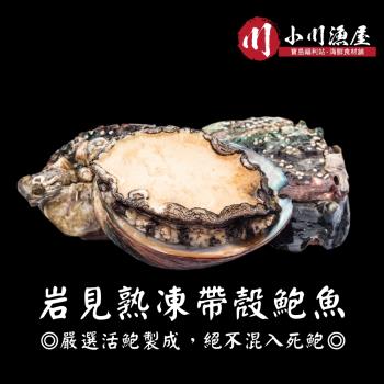 【小川漁屋】熟凍帶殼鮑魚4包（300g±10%/包/8~11顆)