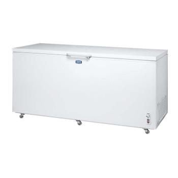 【SANLUX 台灣三洋】600L 上掀式-30℃低溫冷凍櫃 (SCF-610T)