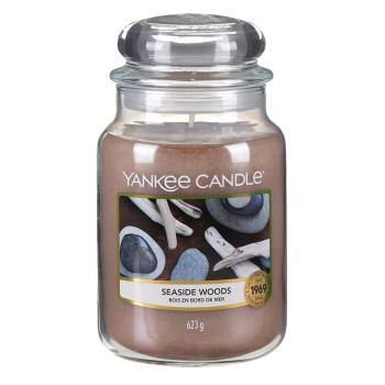 特惠組YANKEE CANDLE 香氛蠟燭-沿海漂流木(623g)*1+(104g)*2