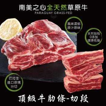 【豪鮮牛肉】 草原之心天然牛肋條切段9包(500g/包)