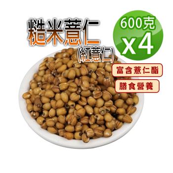 【蔘大王】糙米薏仁（600gX4）低熱量紅薏仁 富含薏仁酯 膳食營養