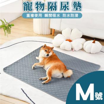 【沐覺mojo】超吸水寵物隔尿墊 保潔墊 尿布墊(大M號)