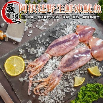 海肉管家-阿根廷野生鮮凍魷魚1包(2尾_260-340g/包)