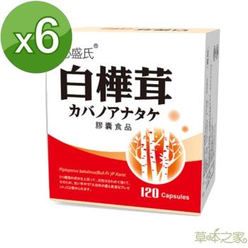 草本之家-白樺茸菇膠囊120粒X6盒