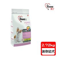 瑪丁1st Choice-迷你型幼犬 低過敏配方 羊肉+鯡魚+糙米 迷你顆粒(2.72公斤)