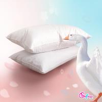 《英柏絲Embrace》五星級飯店指定御用 水鳥羽絨枕 100%純棉表布防絨加工(二入)