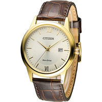 星辰 CITIZEN 光動能復古休閒經典腕錶 AW1232-12A