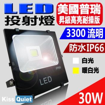 Kiss Quiet - 質感黑(白光/黄光)30W LED投射燈全電壓探照燈-1入