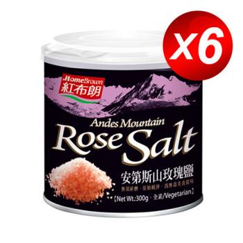 紅布朗 安地斯山玫瑰鹽(300g/罐) x 6入