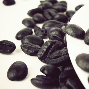 Gustare caffe 精選衣索比亞耶加雪夫咖啡豆(半磅)