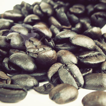 Gustare caffe 精選西達摩咖啡豆(1磅)