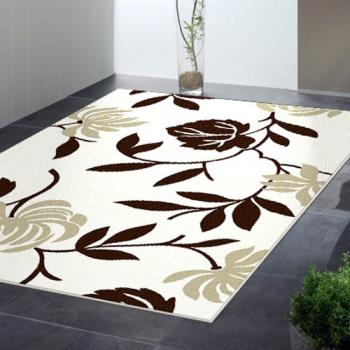范登伯格 悅舞視覺影像絲質地毯-曇花-160x230cm